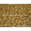 Sell 2012 new holland potato